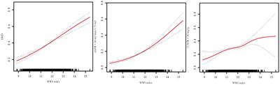 The relationship between weight-adjusted-waist index and diabetic kidney disease in patients with type 2 diabetes mellitus